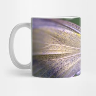 Cabbage White Butterfly, Macro Photograph Mug